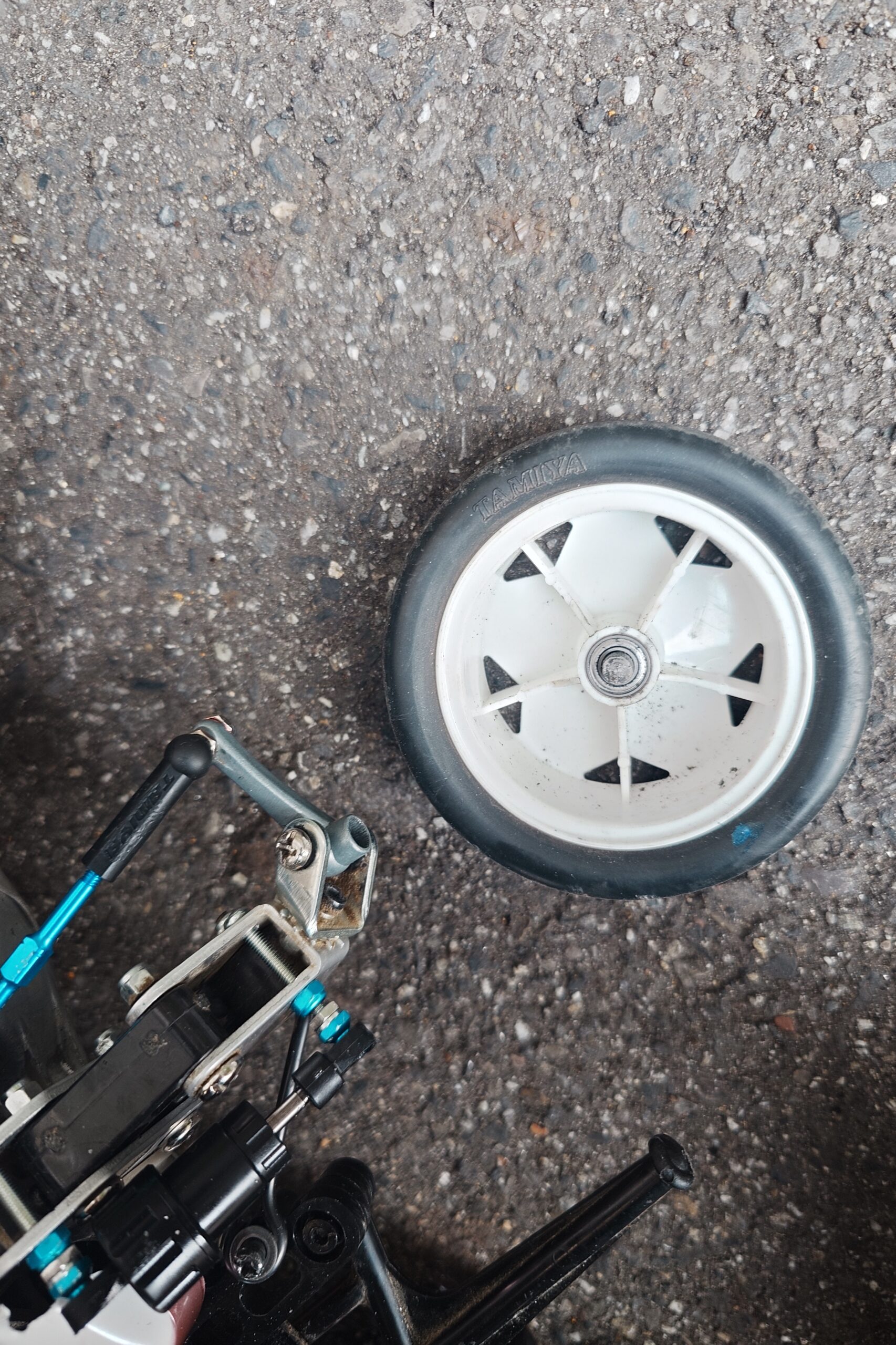 マイティフロッグ 持病発生